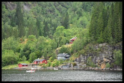 A cute Norwegian Fjord scene